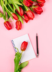 Obraz na płótnie Canvas Open spiral notepad with pen and red tulips on pink desk background. Template for advertising or visualization of blog with copy space, text place. Business holiday card. Certificate mockup. Top view