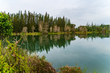 Landscape view of lake and mountain