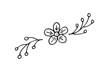 Vignette of flowers and leaves, hand-drawn. Doodle vector illustration. Ornament pattern. Black and white outline