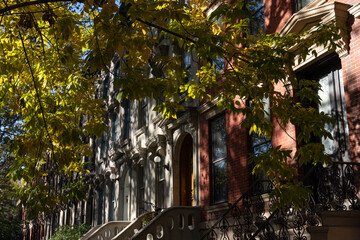Fototapeta premium Row of Colorful Old Brick Brownstone Homes with Trees and Shade during Autumn in Long Island City Queens New York