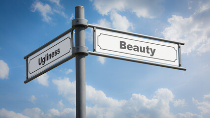 Fototapeta premium Street Sign Beauty versus Ugliness