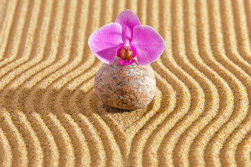 Japanischer Garten mit Sand und Stein in Yin und yang