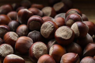 lots of  hazelnuts 
