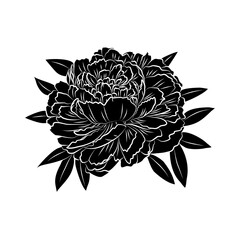 Floral background. Peony sketch. Floral silhouette.
