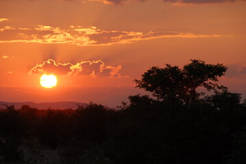 coucher de soleil sur le bush namibie