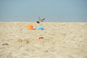 Children are having fun at the beach on a beautiful day, the sky is clear.