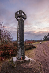 Hindhead Common early morning walk.