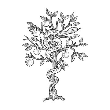 biblical serpent snake on apple tree sketch engraving vector illustration. T-shirt apparel print design. Scratch board imitation. Black and white hand drawn image.