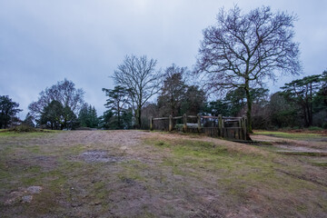 Hindhead Common early morning walk.