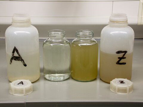 Abwasserproben im Labor einer Kläranlage
