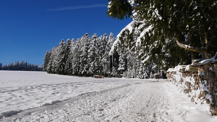 Wanderweg und Loipe mit Brennholz am Bildrand