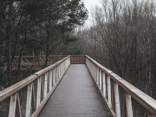 Fototapeta premium Wooden bridge in the forest