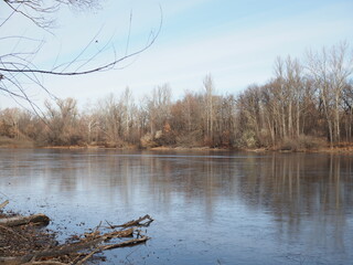 Late autumn. The first ice on the forest lake. The hummocks are covered with a thin layer of snow, the ice is very thin