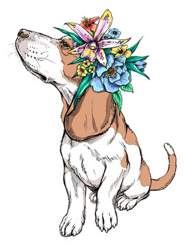 Cute beagle dog in a flower wreath. Spring portrait of a dog. Stylish image for printing on any surface