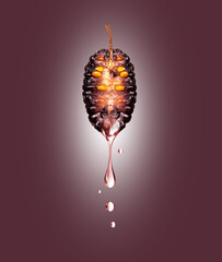 Drop of juice dripping from sliced mulberry close up