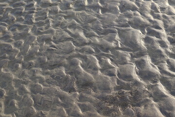 Fototapeta na wymiar Sandy Texture Art in the Beach