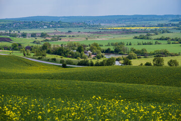 Fototapeta na wymiar Spring countryside view with road, rapeseed yellow blooming fields, village, hills. Ukraine, Lviv Region.