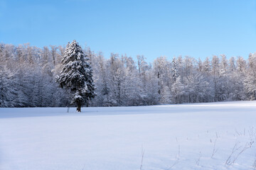 Wunderschöne Winterlandschaft