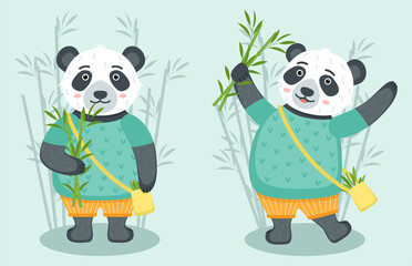 Set of cute pandas with bamboo, vector illustration