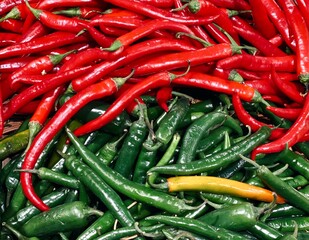 spicy chili red and green peppers for food patterns