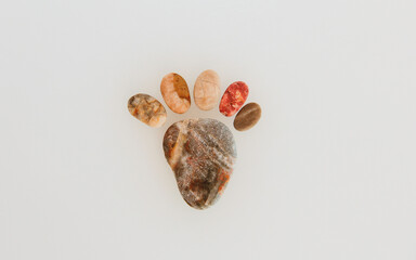 A leg made of sea stones. Marine background.