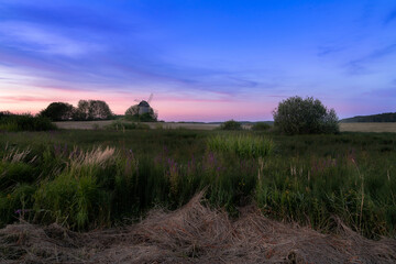 State Museum-Reserve of A. S. Pushkin. Wildflowers and grasses on the background of an old windmill...
