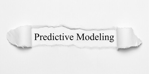 Predictive Modeling 