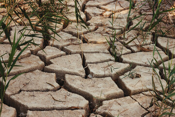 Inhospitable and dry land with cracks: desertification and lack of water