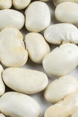 Fototapeta na wymiar grains of white beans with visible details
