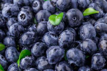 Fresh blueberry background. Blueberry Texture Close Blueberry Antioxidant Organic Superpeed Bowl Concept Healthy Nutrition