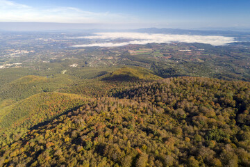Aerial view of the Soriano beech tree in the Cimino in Viterbo. The woods in autumn. Colors and a beautiful landscape