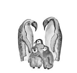 Monochrome illustration of penguin's family with babies isolated on white