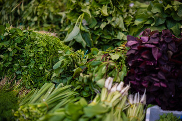 FRESH VEGETABLE AND FRUIT MIX OF ALL GREEN 