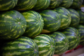 FRESH VEGETABLE AND FRUIT MIX OF ALL GREEN 