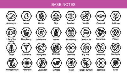 Vector icons aromas base notes. Base notes pyramid chart with examples of popular aroma essences. Scent categories are oriental, woody, fresh and floral. Trend  examples of scents. - obrazy, fototapety, plakaty