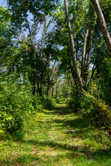 Hiking trails in and around Belleview State Park, Iowa.