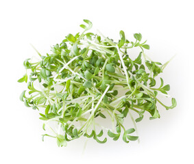 Heap of micro greens garden cress sprouts isolated on white background