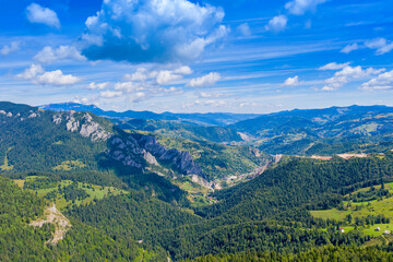 Aerial panorama of summer green forests
