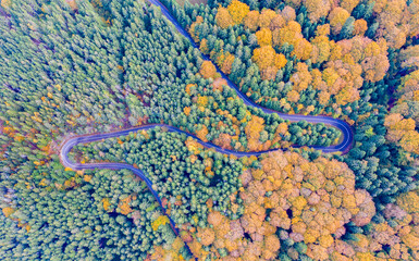 Beautiful curvy road in forest