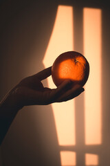 hand holding an orange in warm light, invite to eat healthy