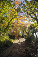 Cable mountain in Rome. The sacred way and woods in autumn. Colors, nature and a fairytale landscape