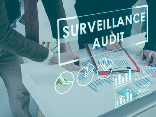 Surveillance audit concept. Auditors working with data.
