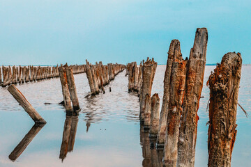 Wooden logs stand in sea water.