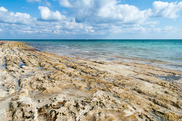 Grand Bahama Island Shore During The Low Tide