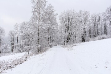 Countryside road through winter field with forest on a horizon