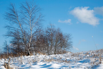 beautiful winter mountain landscape on sunny day