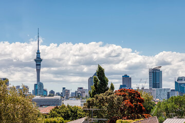 Skyline of Auckland, North Island, New Zealand
