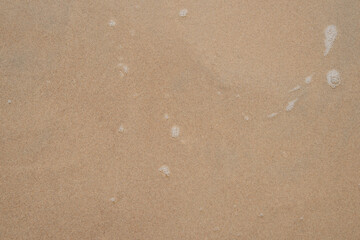Soft ocean foam on tropical sandy beach for background.