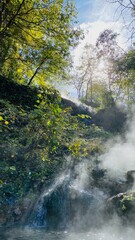 The Great Smoky Mountain National Park