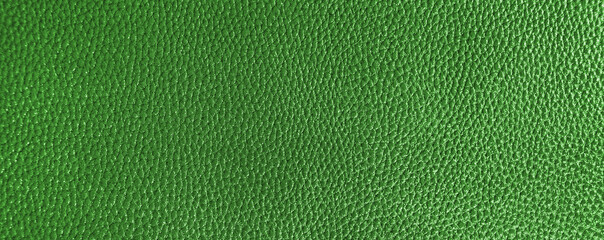 Abstract green reptile skin background